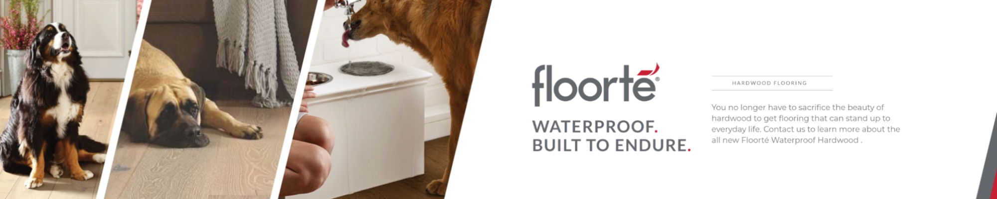 floorte-Waterproof-flooring-hero-banner-2000x400